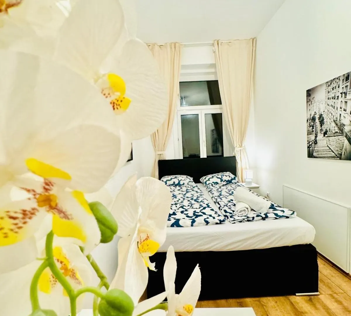 Apartment Charming 5Br Shared Apt, Minutes From Atzgersdorf Vienna Austria